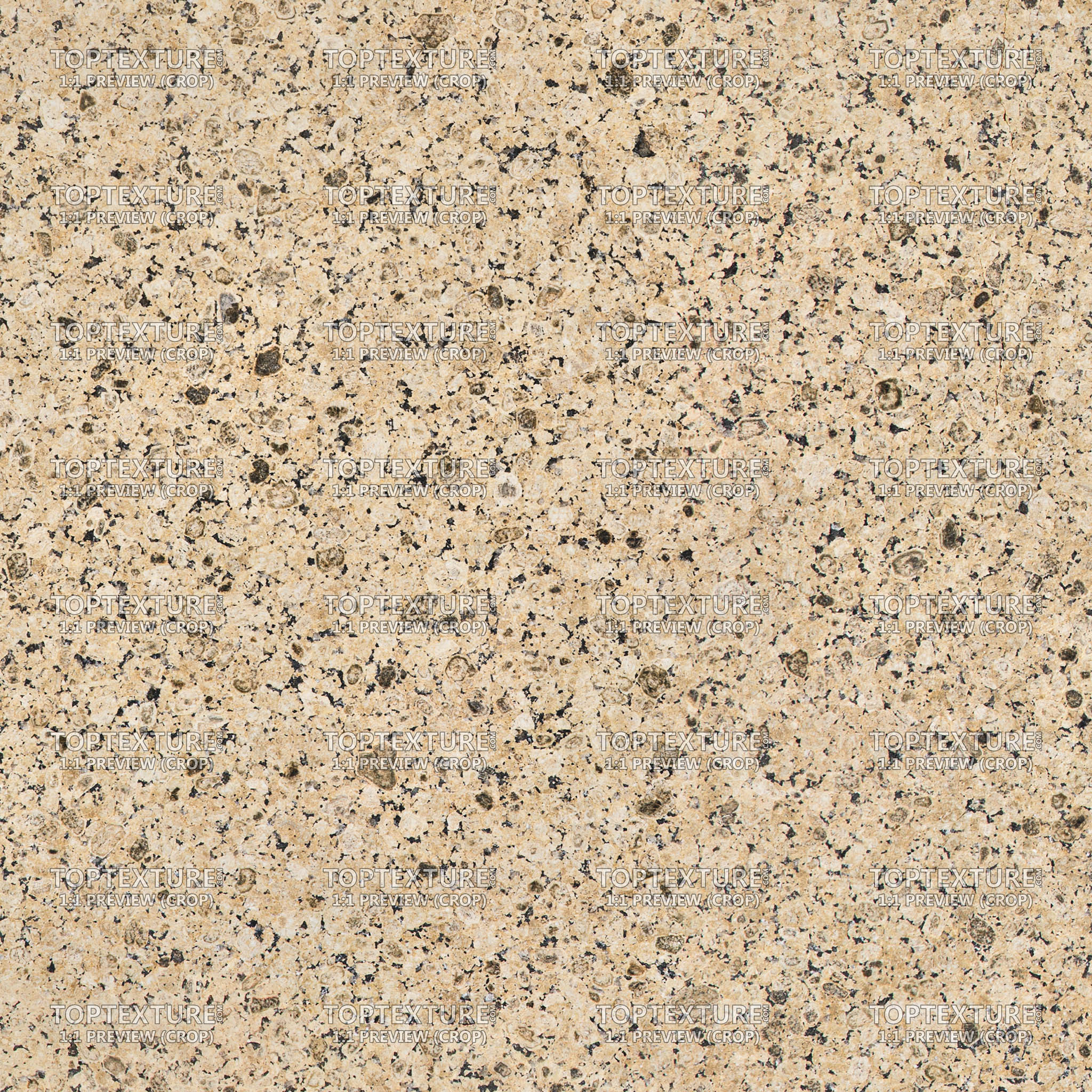 Beige Granite With Little Black Spots - 100% zoom