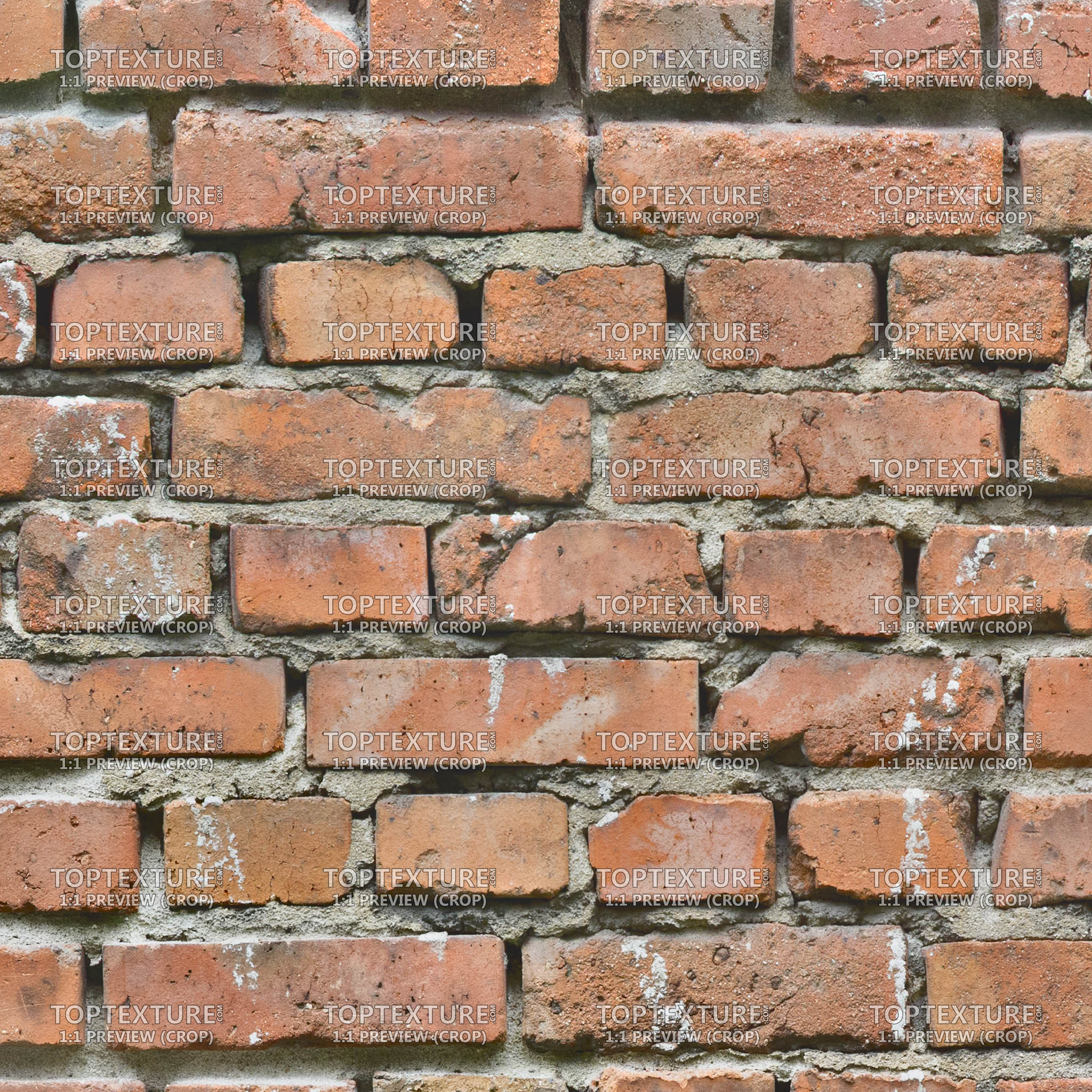 Old Ceramic Wall Bricks - 100% zoom