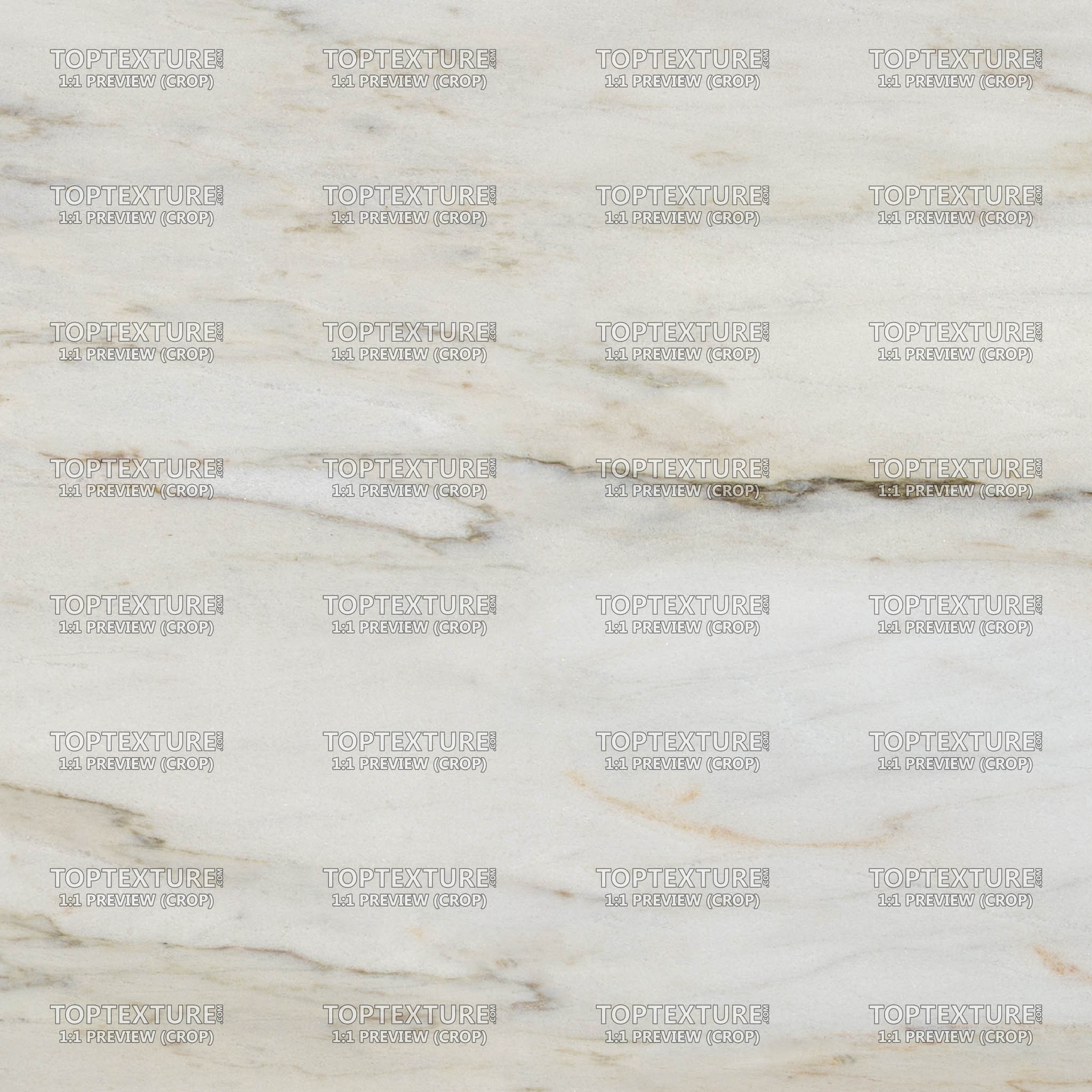 White Estremoz Venado Marble - 100% zoom