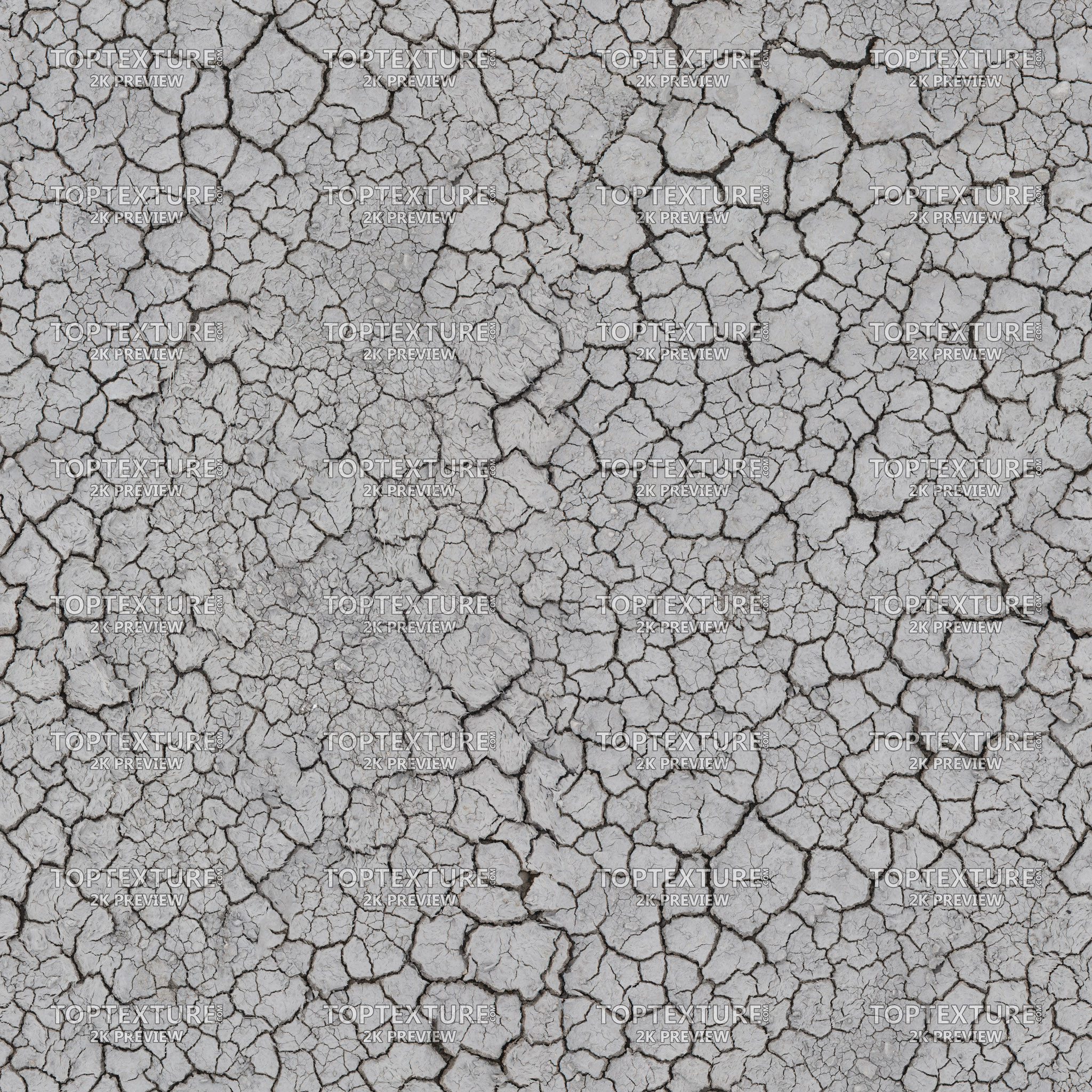 Dry Cracked Grey Ground - 2K preview