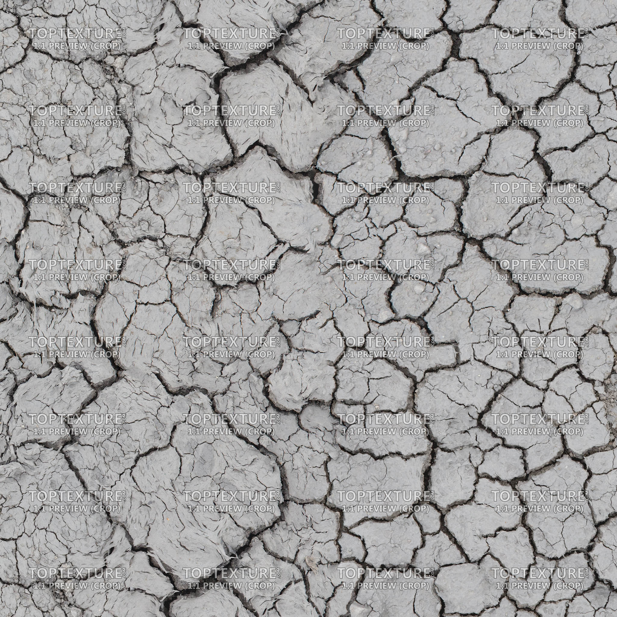 Dry Cracked Grey Ground - 100% zoom