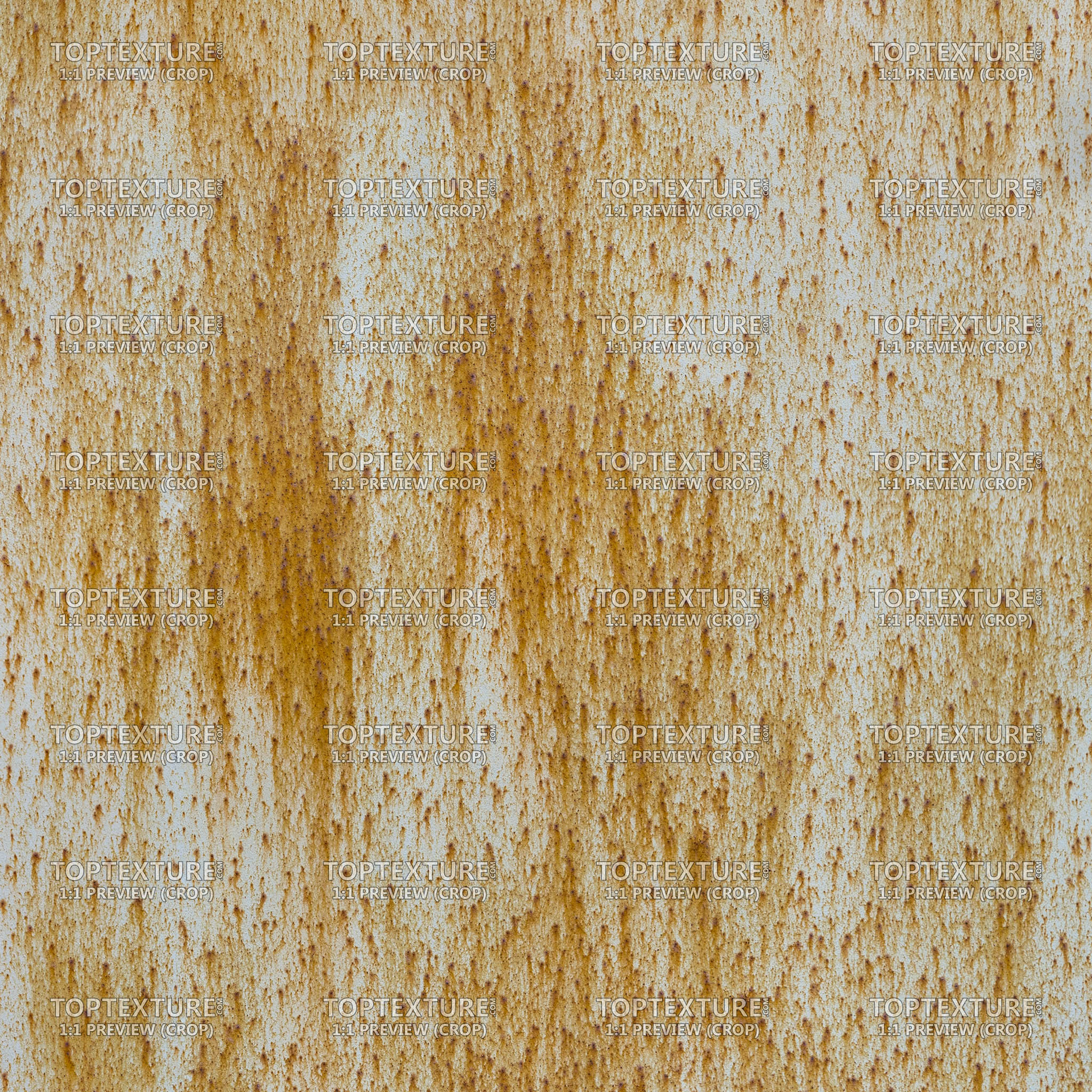 Rusty Leaking Spots - 100% zoom